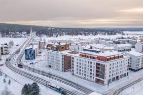 Winter Arctic apartment